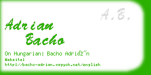 adrian bacho business card